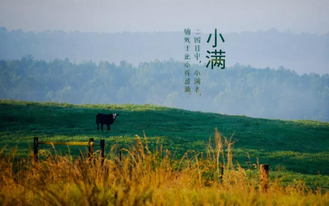 5月21日就是小滿
