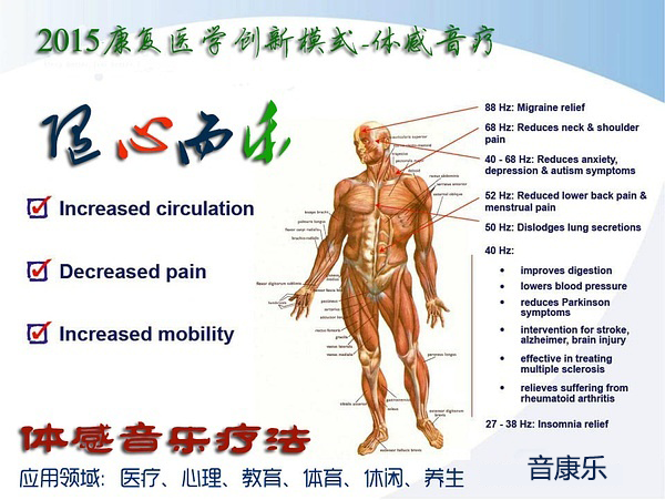 2015康復(fù)醫(yī)學(xué)創(chuàng)新模式-體感音療，應(yīng)用領(lǐng)域：醫(yī)療、心理、教育、體育、休閑、養(yǎng)生